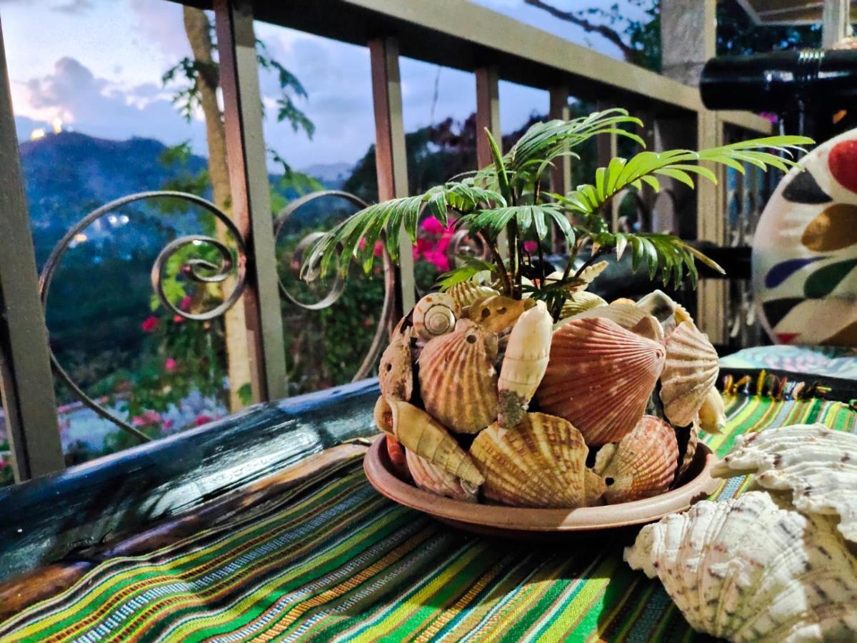 Homestay Purple Hillside *