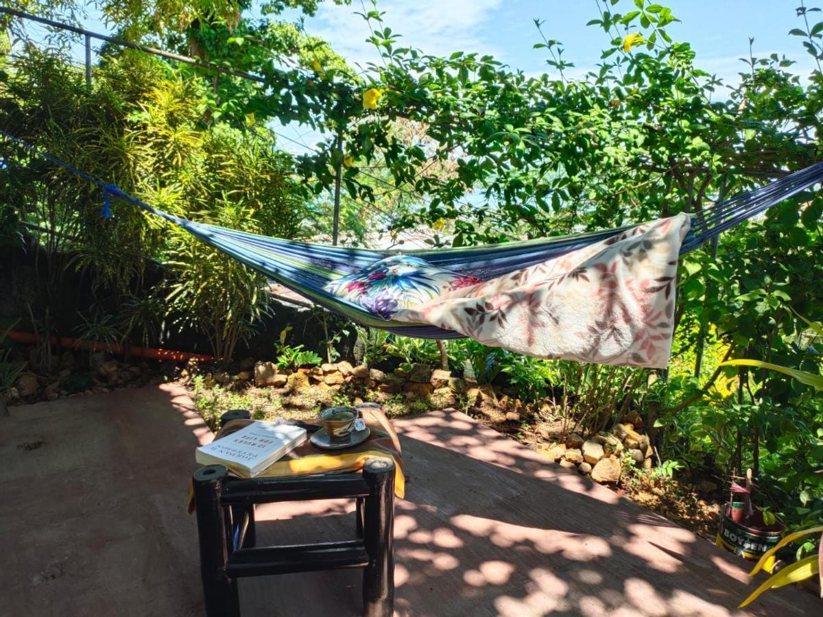 Homestay Purple Hillside